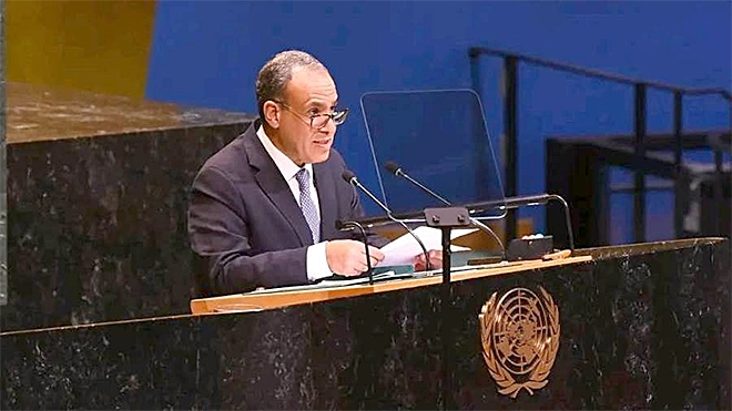 وزير الخارجية المصري بدر عبد العاطي